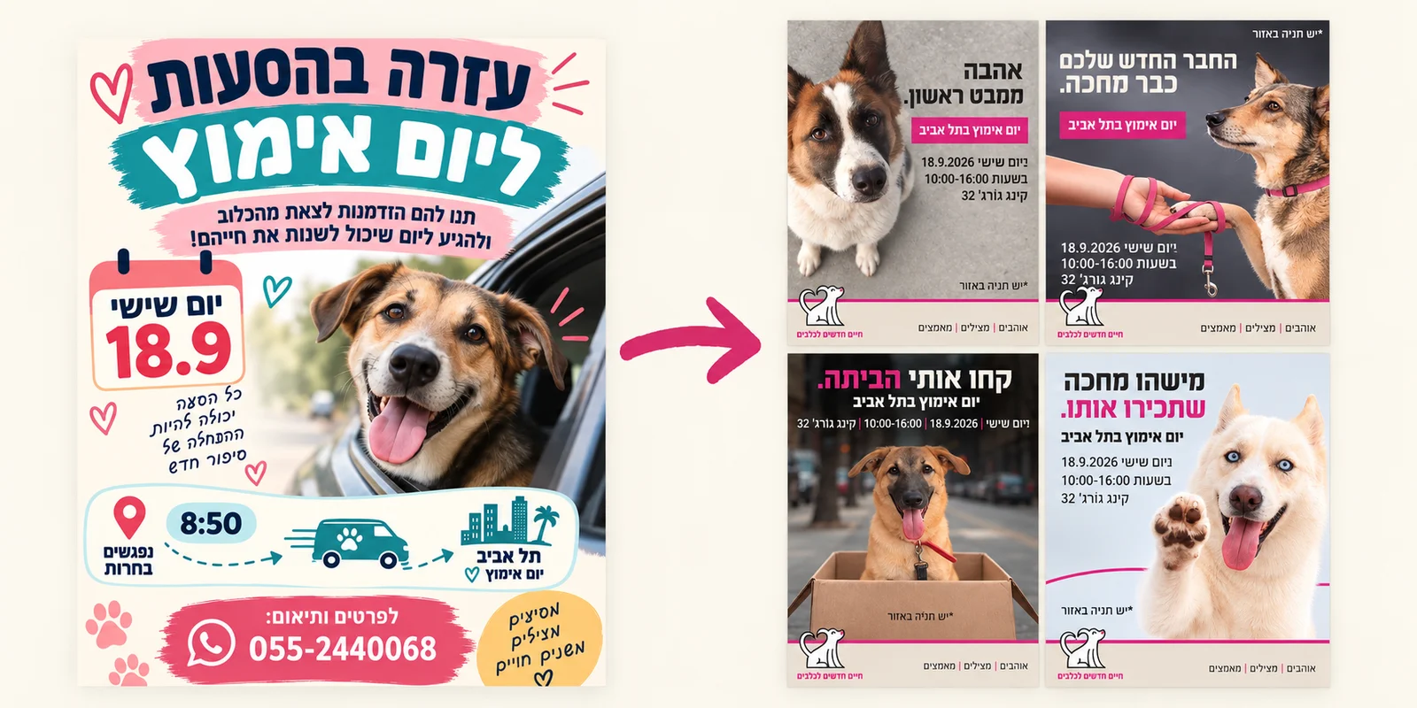 Before and after: a busy adoption day flyer turned into a consistent set of branded posts
